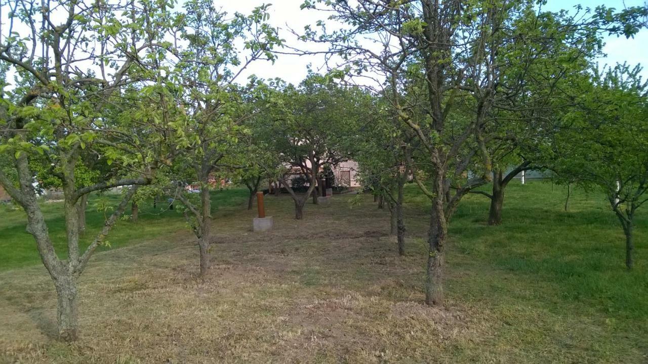 בולהארי Ubytovani U Krizu מראה חיצוני תמונה